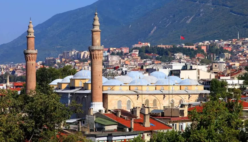 bursa