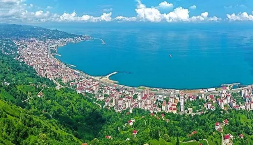 rize